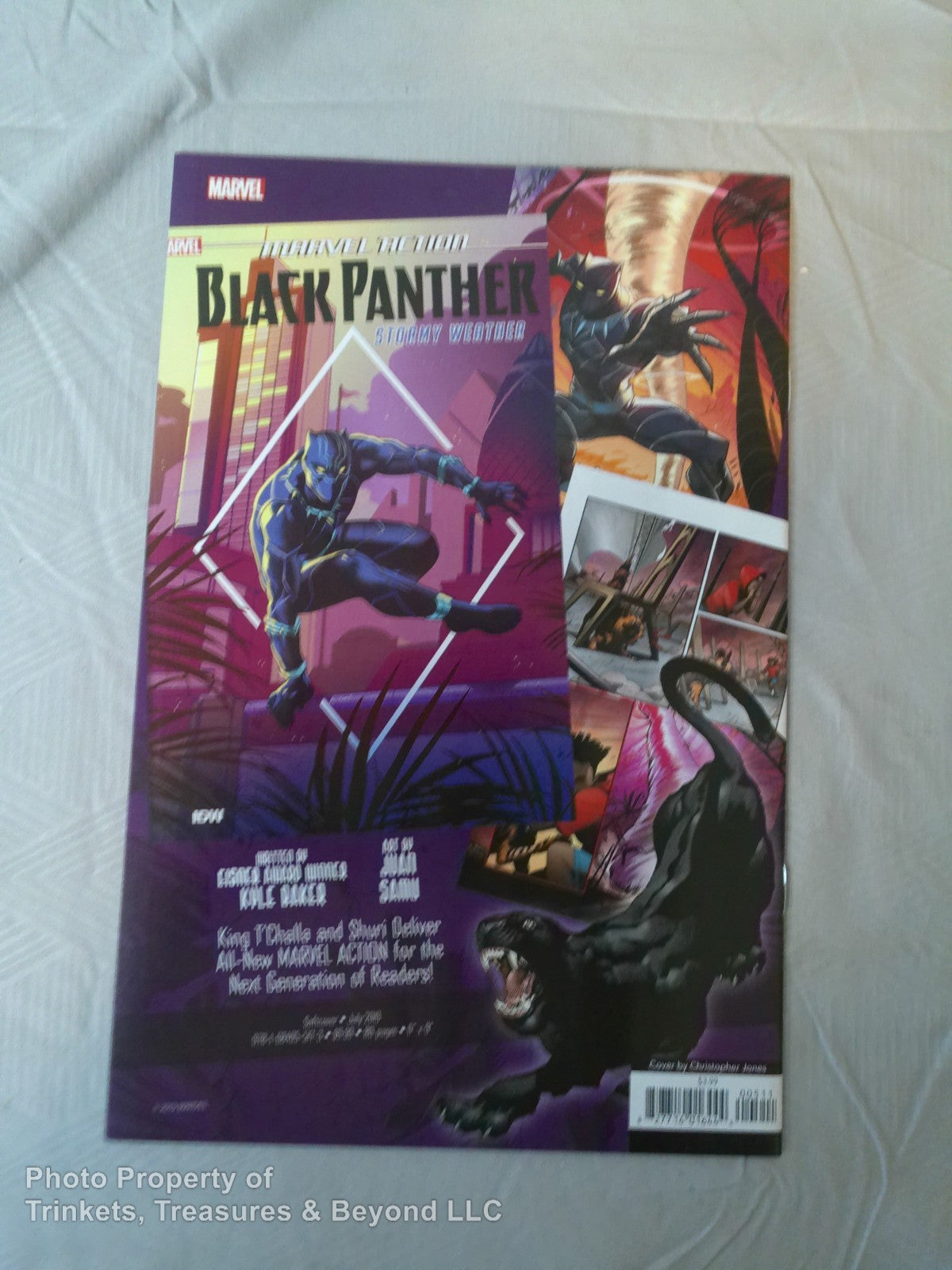 Marvel Action SpiderMan #5