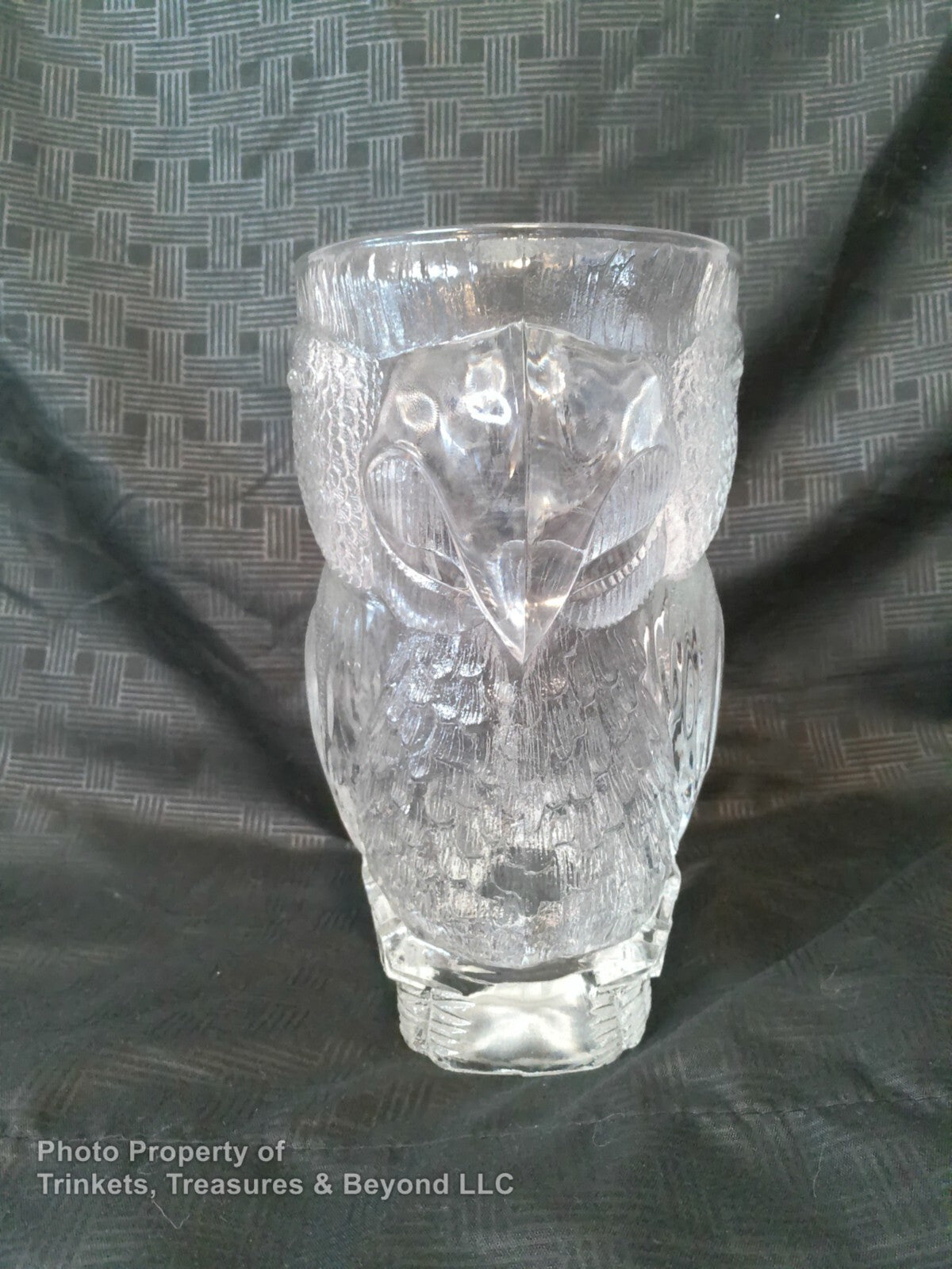 Tropicana Casino Large Parrot Beer Mug - Fun Tropical Party Drinkware